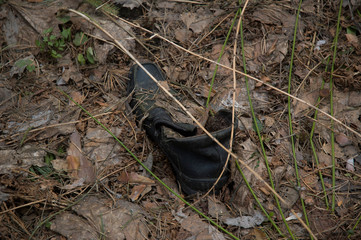 abandoned shoe in the forest