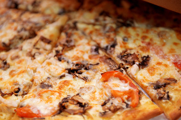 Delicious pizza with mushrooms and cheese close-up.