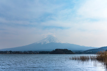 (山梨県-風景)川口湖畔から望む富士１