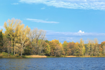 Autumn sunrise in the grove on the riverbank