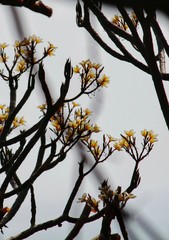 The image is takken from pandav leni, nashik at the mid of summer.