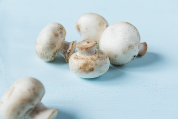 several mushrooms lie on the blue surface