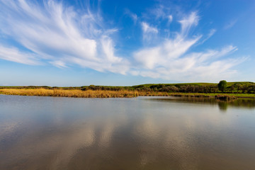 Pond in spring steppe as background