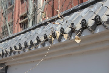 Traditional Chinese Architecture Roof Tiles and Tile Windows
