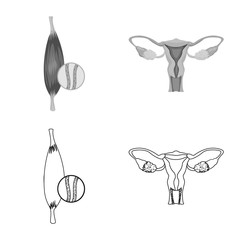 Vector design of body and human logo. Collection of body and medical vector icon for stock.