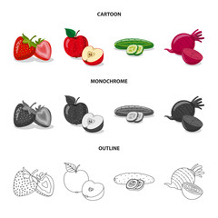 Vector illustration of vegetable and fruit logo. Set of vegetable and vegetarian stock vector illustration.