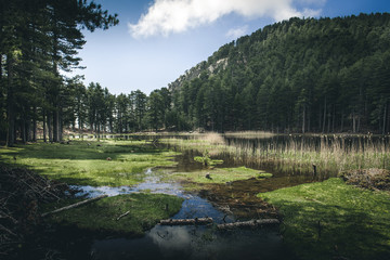 Bergsee auf Korsika.