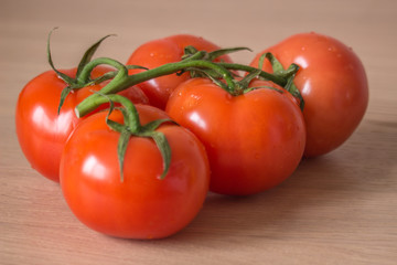 Branch of red tomatoes