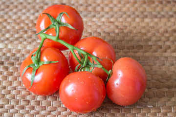 Branch of red tomatoes