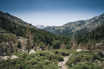 Korsikas alpine Welt.