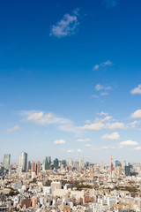 Fototapeta premium 東京 風景