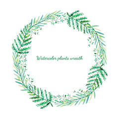 Hand painted watercolor plants wreath