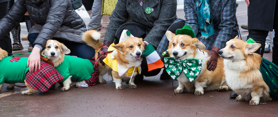 Moscow, Russia, St. Patrick's Day (Saint Patrick's Day) in 2019. March 17 is celebrated St. Patrick, he brought Christianity to the Irish land. This celebration in Ireland was originally a religious e
