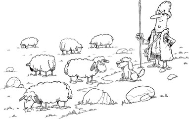 shepherd and herds of sheep