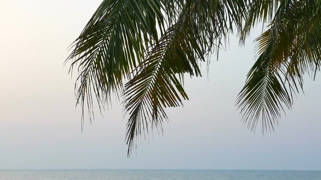 Palm tree silhouette on the beach sand with a calm weather and a endless ocean in the background
