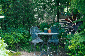 table with cactus in the garden