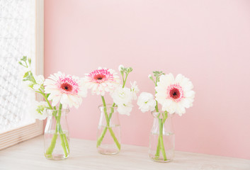 白とピンクのガーベラ