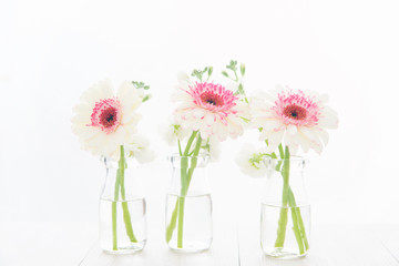 白とピンクのガーベラ