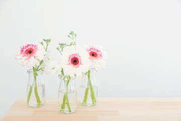 白とピンクのガーベラ