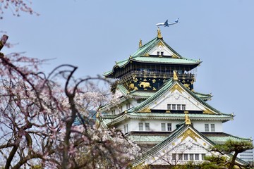 大阪城の桜の花見