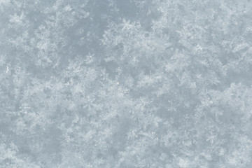 background of fresh snow texture in blue tone