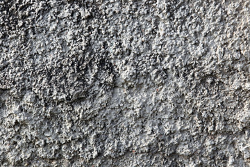 gray plaster