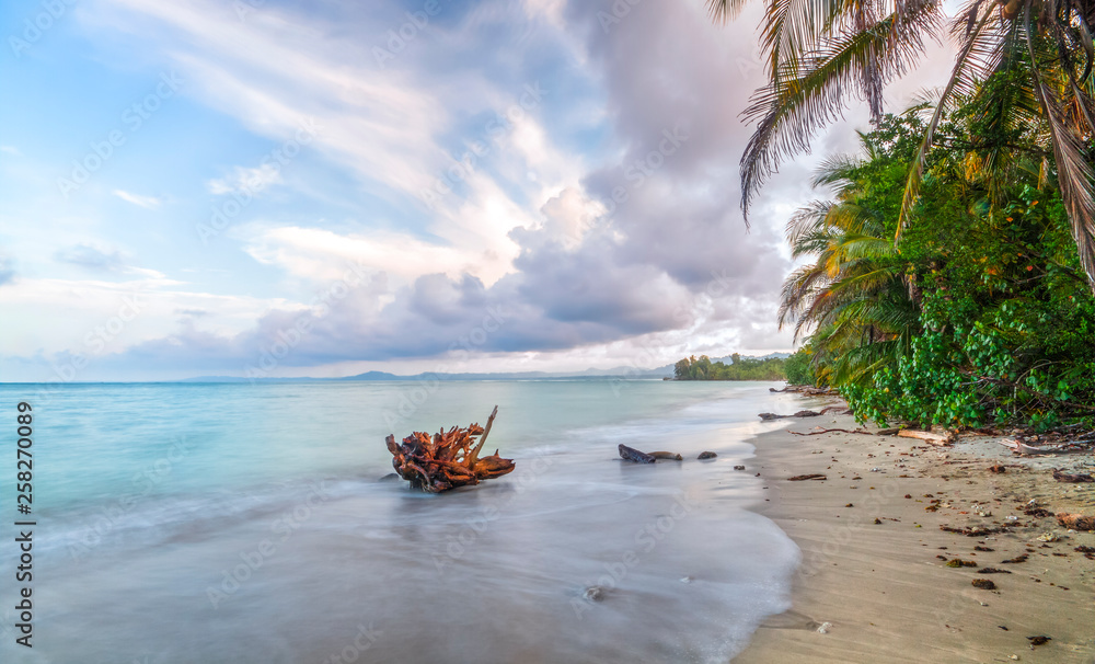 Wall mural the coastline of cahuita national park just before sunset. costa rica.