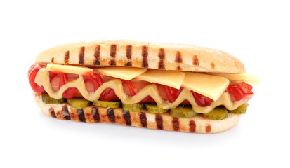 Tasty hot dog on white background