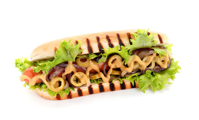 Tasty hot dog on white background