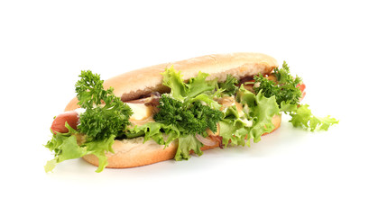 Tasty hot dog on white background