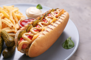 Tasty hot dog on plate, closeup