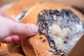 Sweet tastefull traditional cakes with jam, fruit, cottage cheese and poppy seeds.