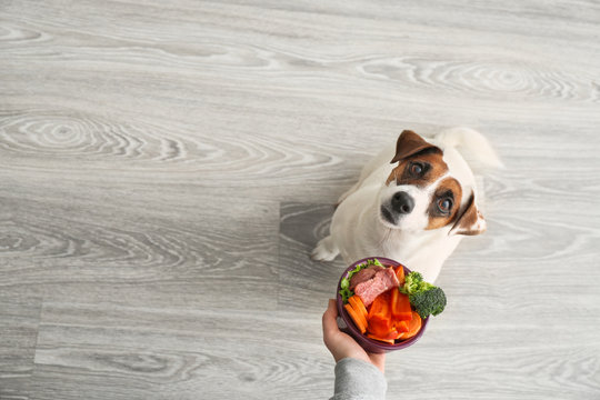 Is Beetroot Safe for Dogs to Eat? Benefits and Risks Explained Is it Safe to Feed Beets to Dogs? Learn the Pros and Cons - Can Dogs Eat Beets?