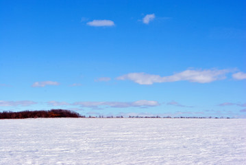 Field covered with snow, trees without leaves line on horizon, winter landscape, bright blue cloudy sky