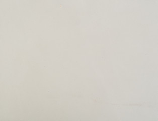 Textura piel animal print