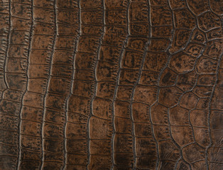 Textura piel animal print