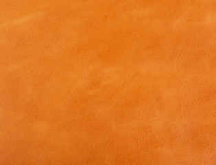 Textura piel animal print