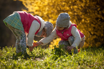 cute twin sisters, embrace on a background field with yellow flowers, happy cute and beautiful sisters having fun with yellow flowers in spring in park, cheerful holidays outdoors, healthy lifestyle