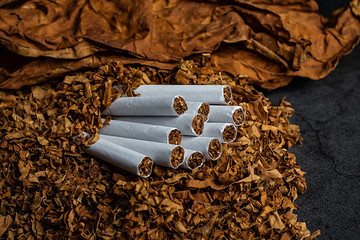 tobacco and cigarette