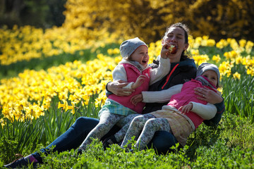 Fototapeta premium cute twin sisters, embrace on a background field with yellow flowers, happy cute and beautiful sisters having fun with mother in yellow flowers in spring in park, cheerful holidays outdoors