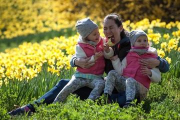 Fototapeta premium cute twin sisters, embrace on a background field with yellow flowers, happy cute and beautiful sisters having fun with mother in yellow flowers in spring in park, cheerful holidays outdoors