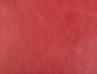 Textura piel animal print