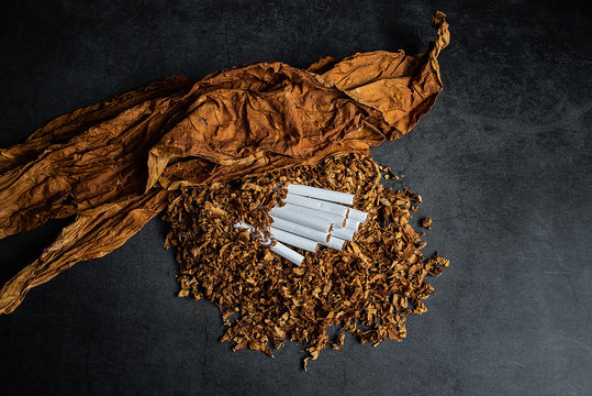 Tobacco Raw Material
