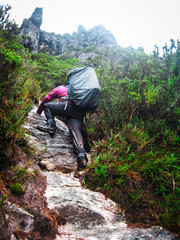 Obraz premium A hiker scrambles up a steep rocky slope on an overnight hike in the Western Arthurs, Tasmania.
