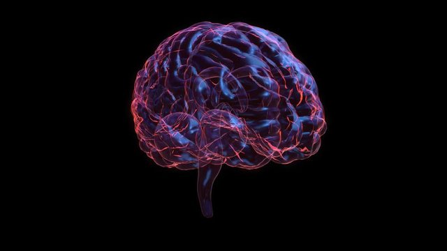 3d animation graphic design of brain. alpha glass background. Brain showing and spinning with mri scan in creativity model and health concept