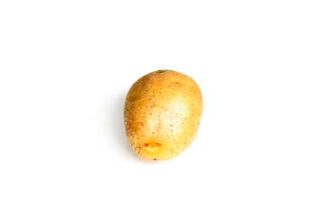 Potato one on white background