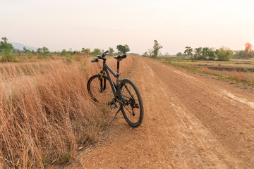 Fototapeta na wymiar Bicycle in the arid path
