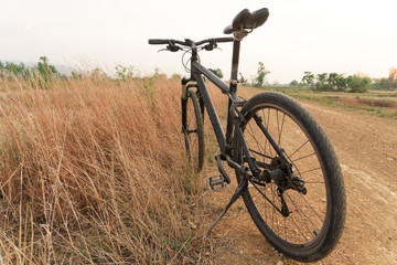 Fototapeta na wymiar Bicycle in the arid path
