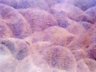 seamless pattern with red tone, graphics design