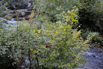 Agios Nikolaos Park Naousa Greece Europe